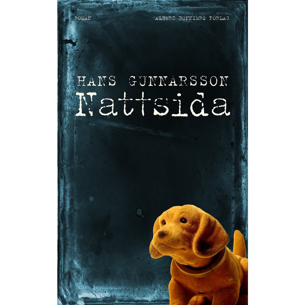 Hans Gunnarsson Nattsida (inbunden)