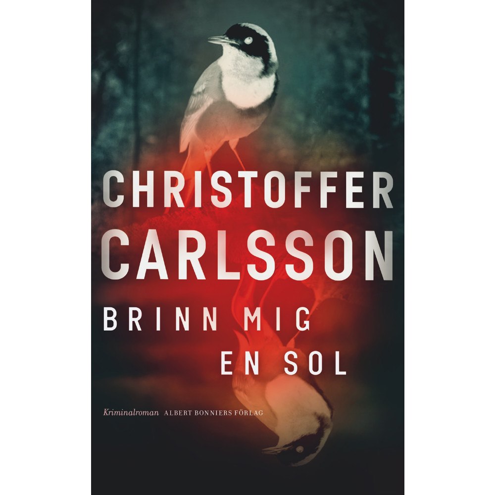 Christoffer Carlsson Brinn mig en sol (inbunden)