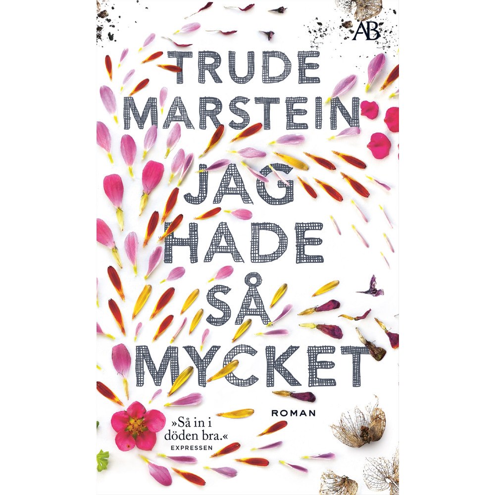 Trude Marstein Jag hade så mycket (pocket)