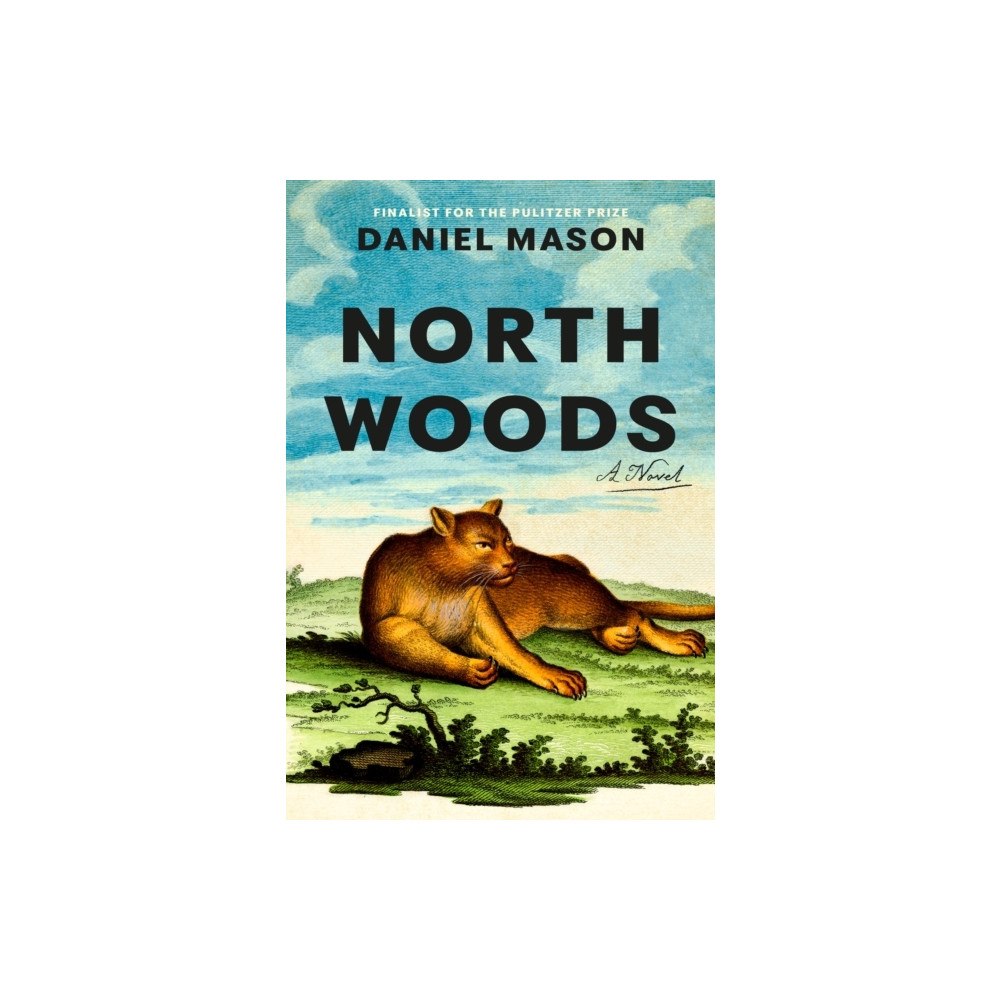 Daniel Mason North Woods (häftad, eng)