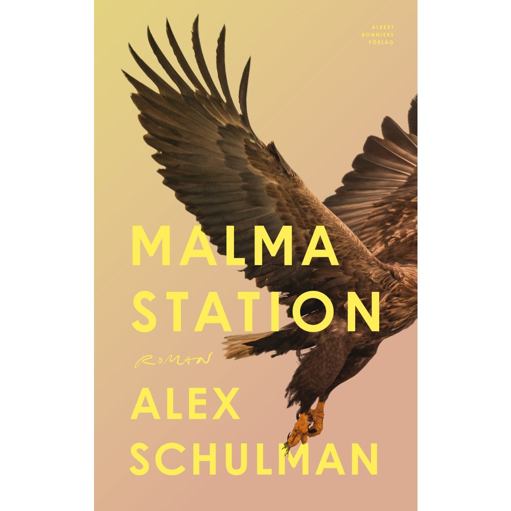 Alex Schulman Malma station (inbunden)