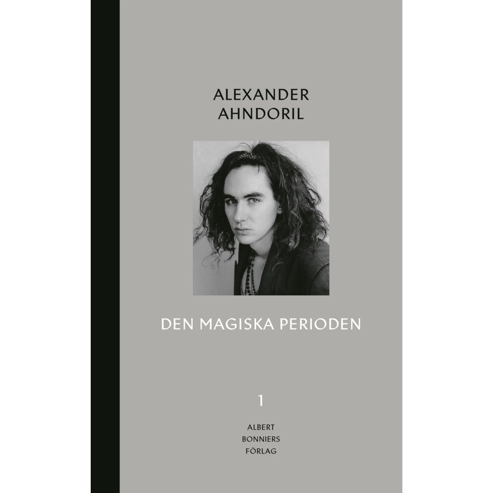 Alexander Ahndoril Den magiska perioden (bok, halvklotband)