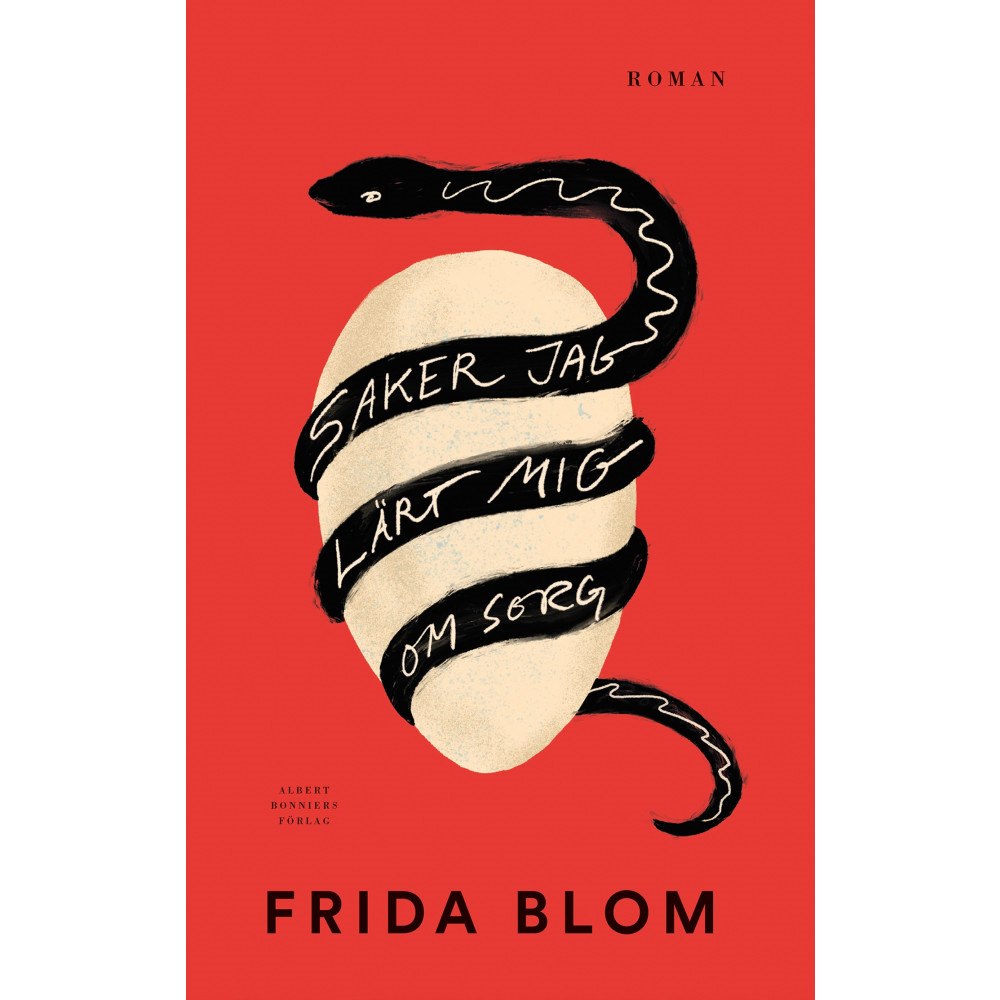Frida Blom Saker jag lärt mig om sorg (inbunden)