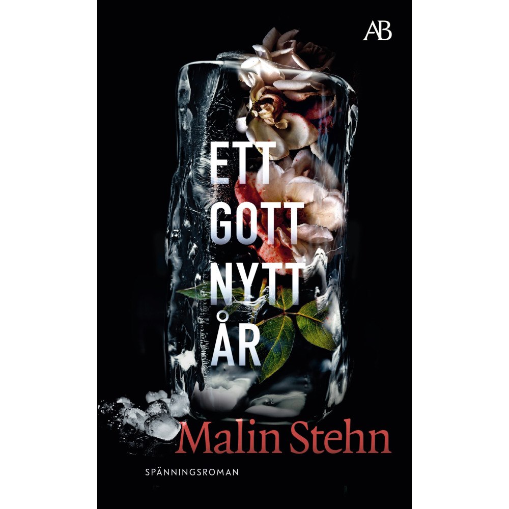 Malin Stehn Ett gott nytt år (pocket)