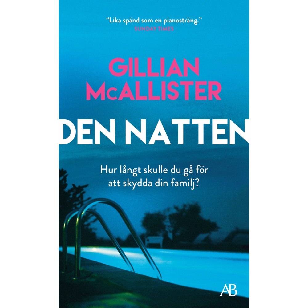 Gillian McAllister Den natten (pocket)