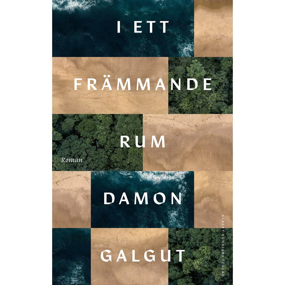 Damon Galgut I ett främmande rum (inbunden)
