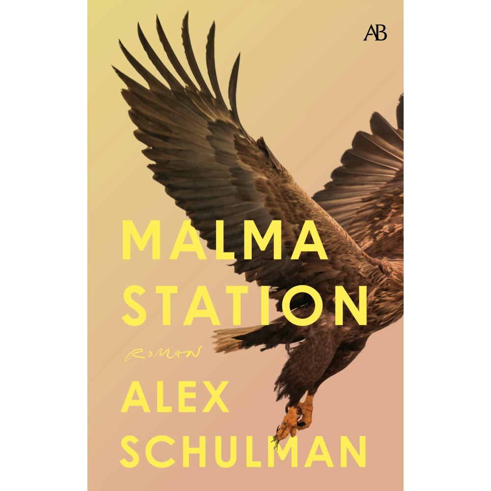 Alex Schulman Malma station (bok, storpocket)