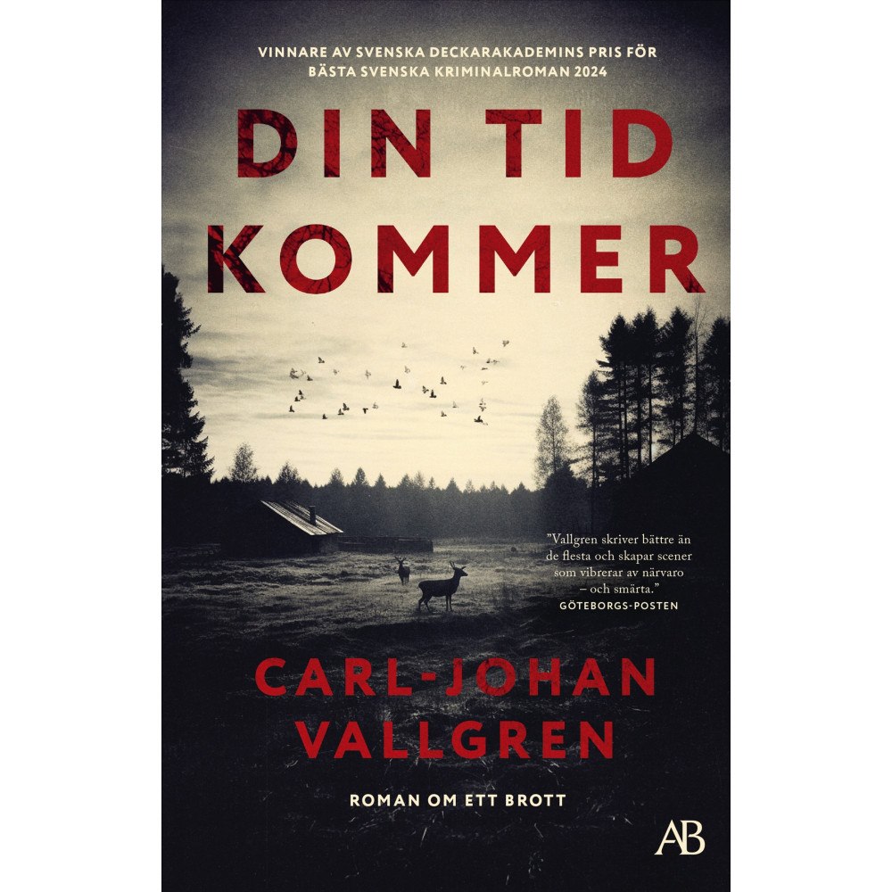 Carl-Johan Vallgren Din tid kommer (pocket)
