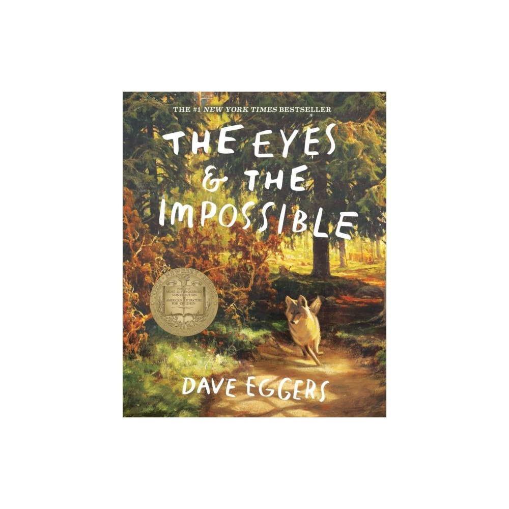 Dave Eggers The Eyes and the Impossible (pocket, eng)