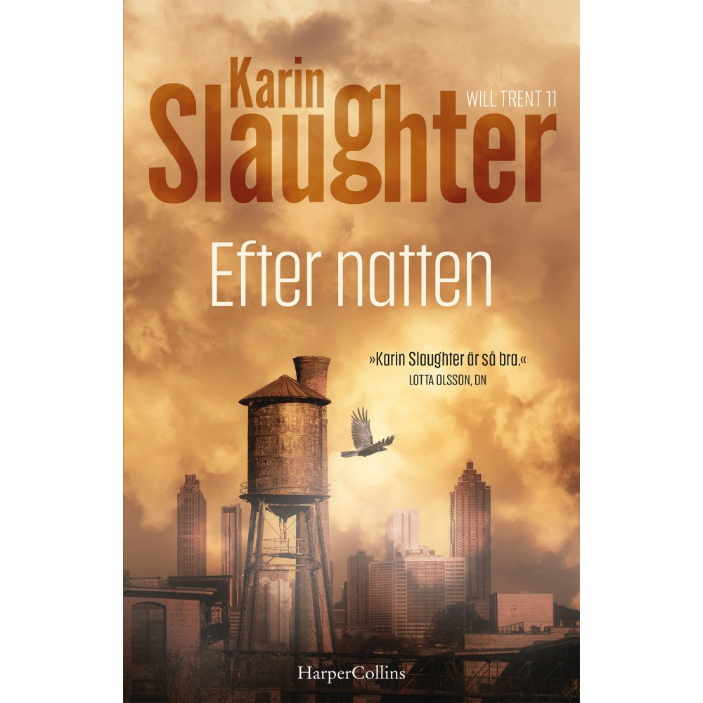 Karin Slaughter Efter natten (inbunden)