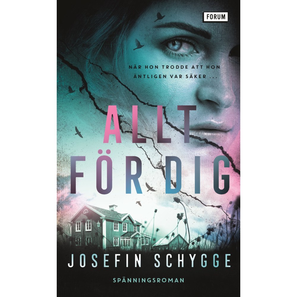 Josefin Schygge Allt för dig (pocket)