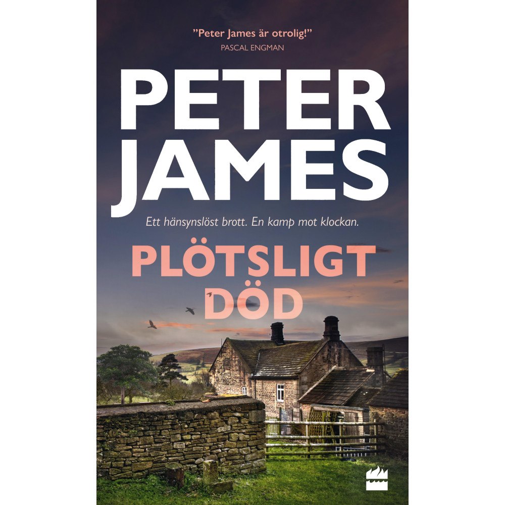 Peter James Plötsligt död (pocket)