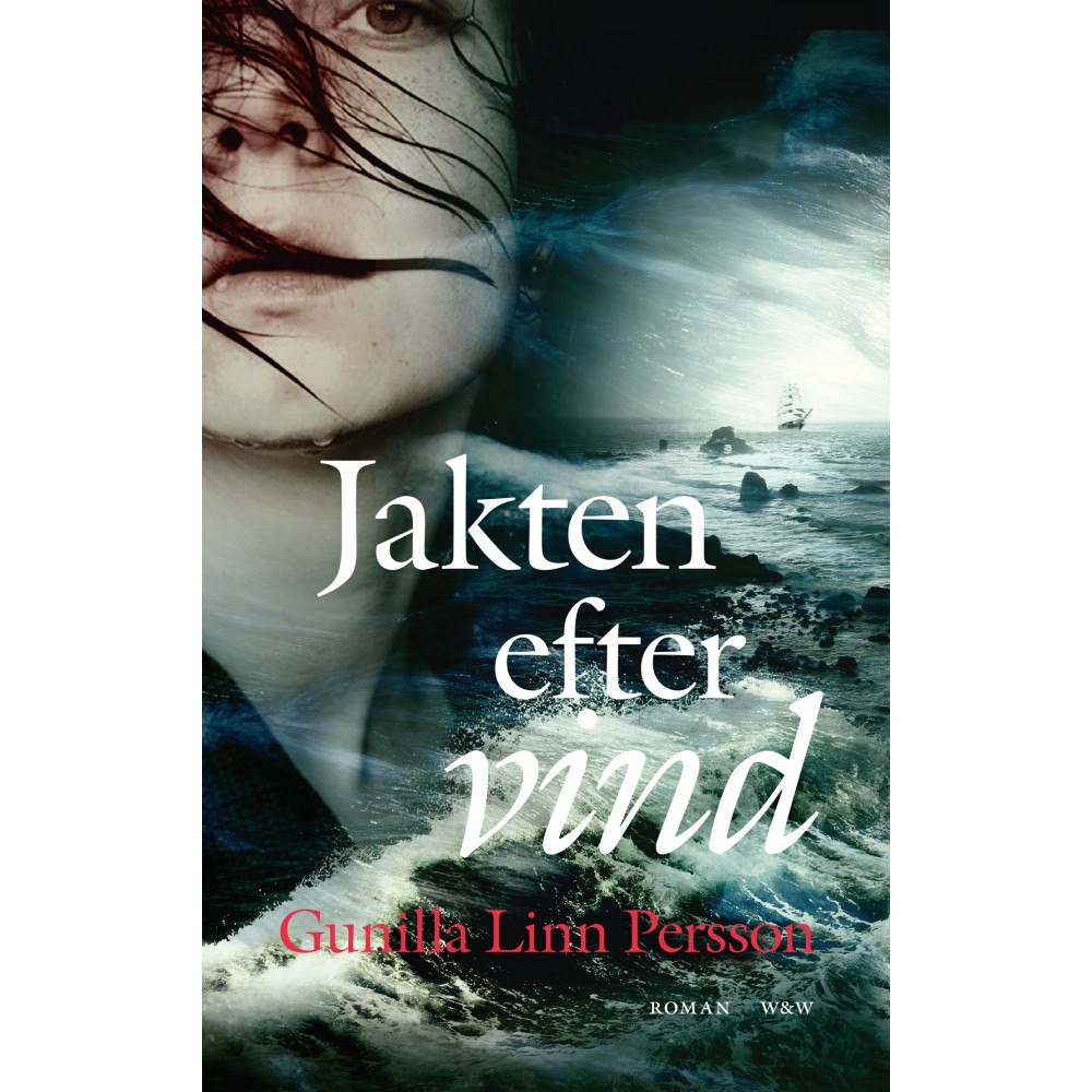 Gunilla Linn Persson Jakten efter vind (inbunden)