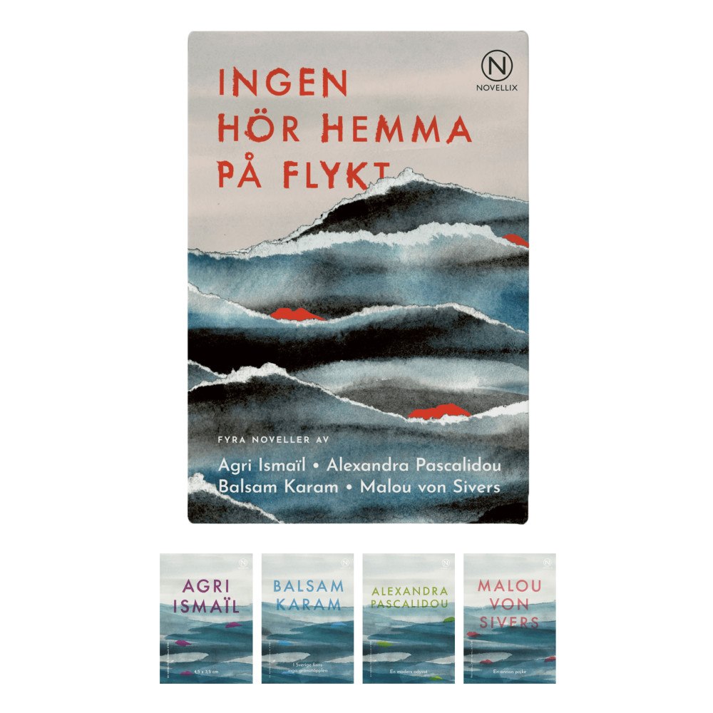 Novellix Ingen hör hemma på flykt