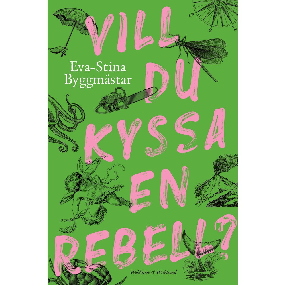 Eva-Stina Byggmästar Vill du kyssa en rebell? (inbunden)