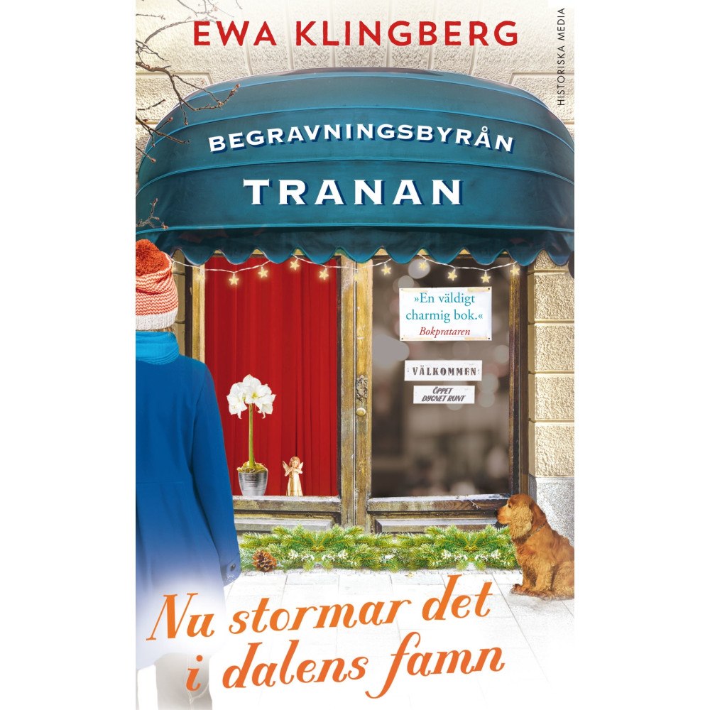 Ewa Klingberg Nu stormar det i dalens famn (pocket)