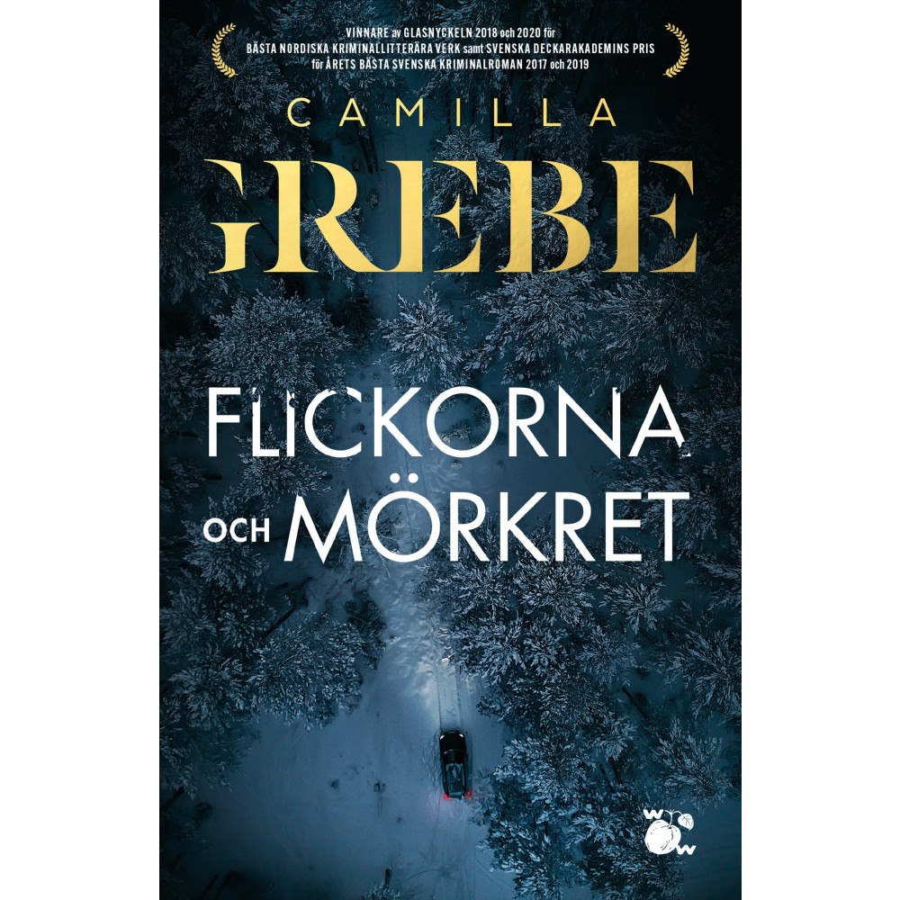 Camilla Grebe Flickorna och Mörkret (bok, storpocket)