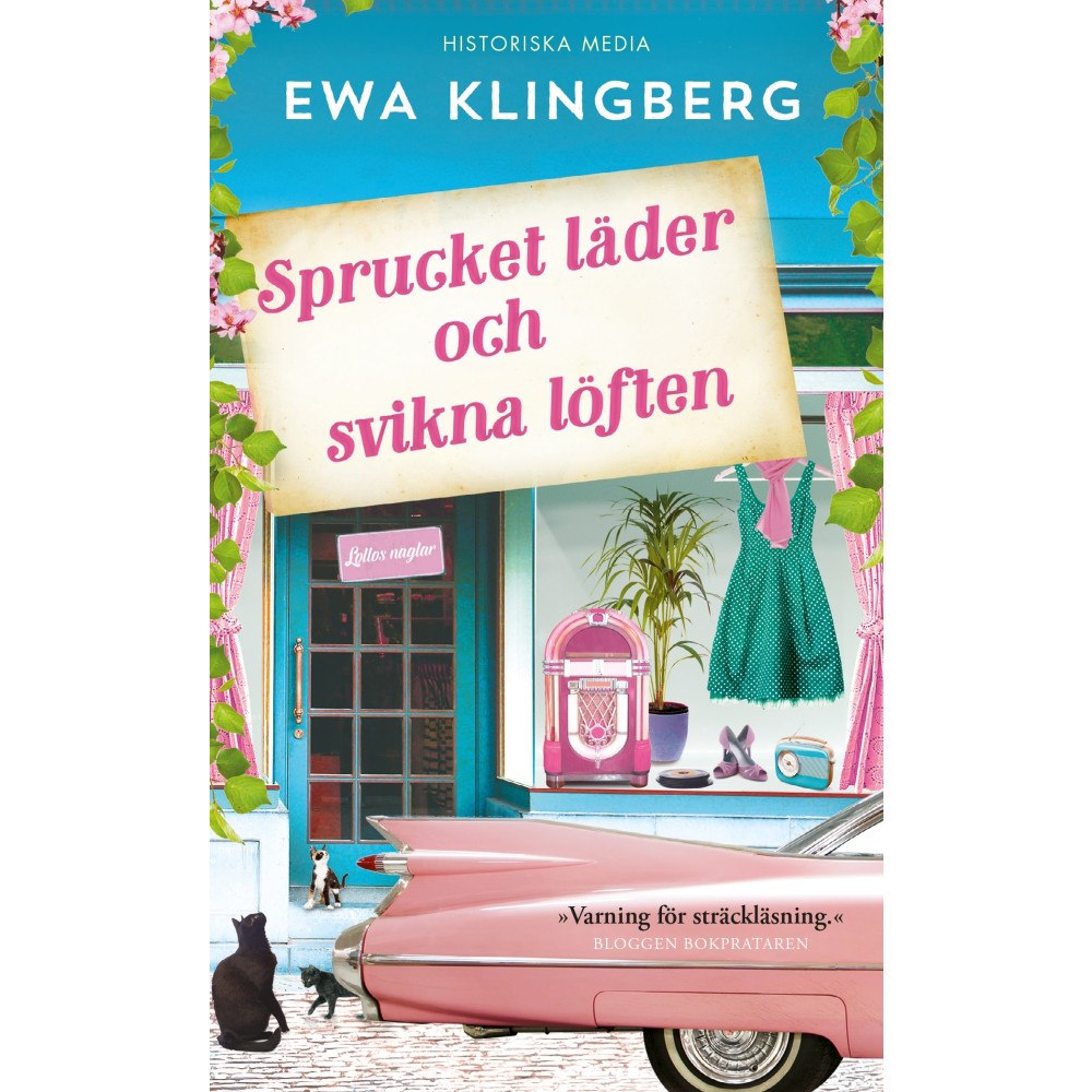 Ewa Klingberg Sprucket läder och svikna löften (pocket)