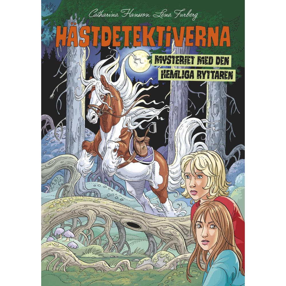 Catharina Hansson Mysteriet med den hemliga ryttaren (bok, kartonnage)