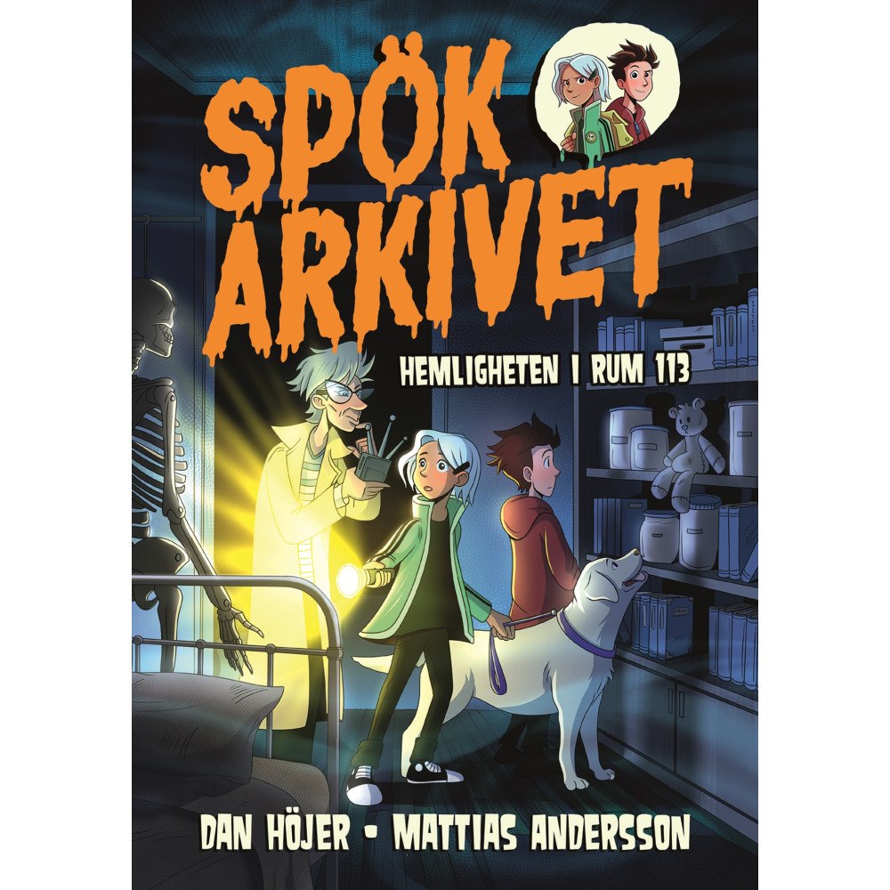 Dan Höjer Hemligheten i rum 113 (bok, kartonnage)