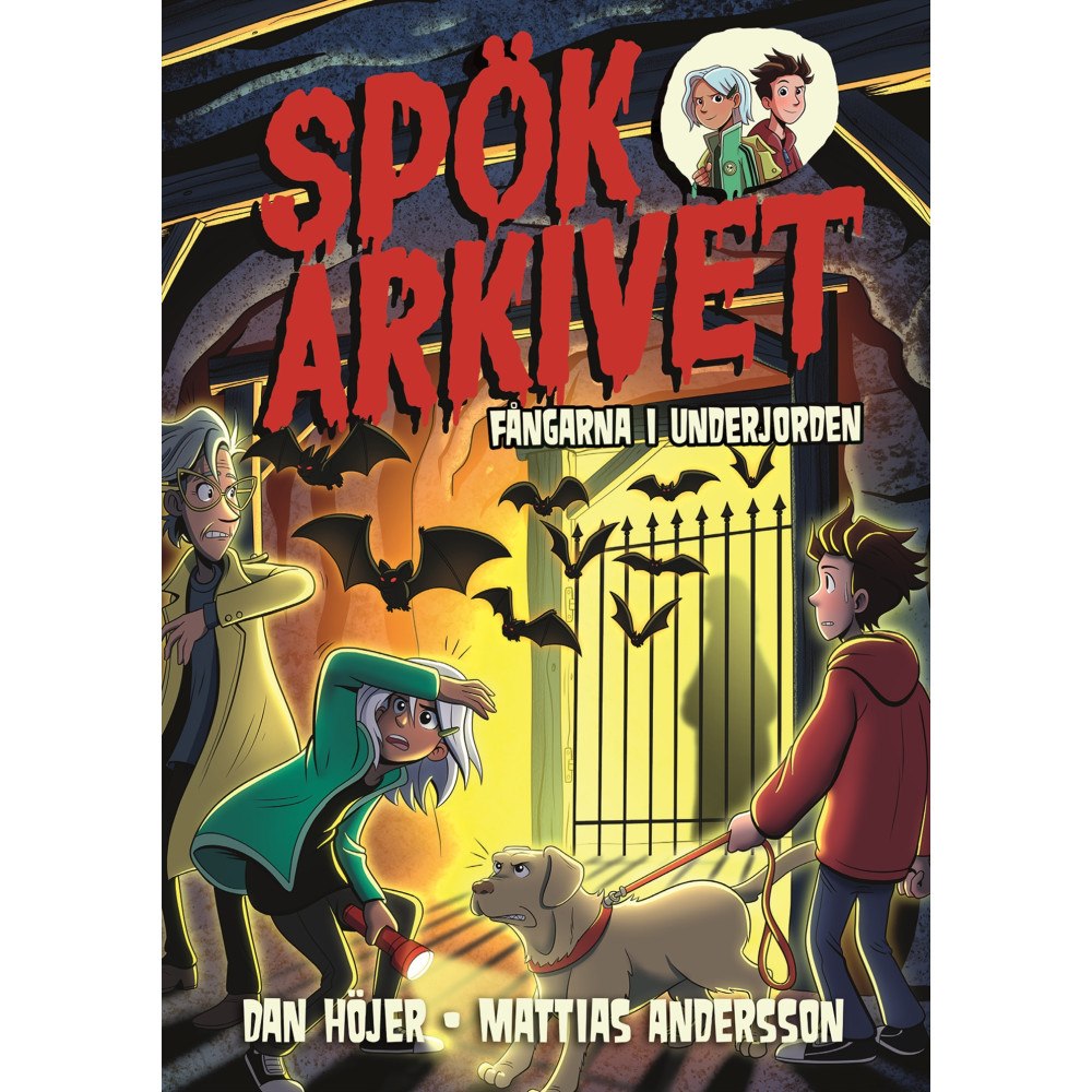 Dan Höjer Fångarna i underjorden (bok, kartonnage)