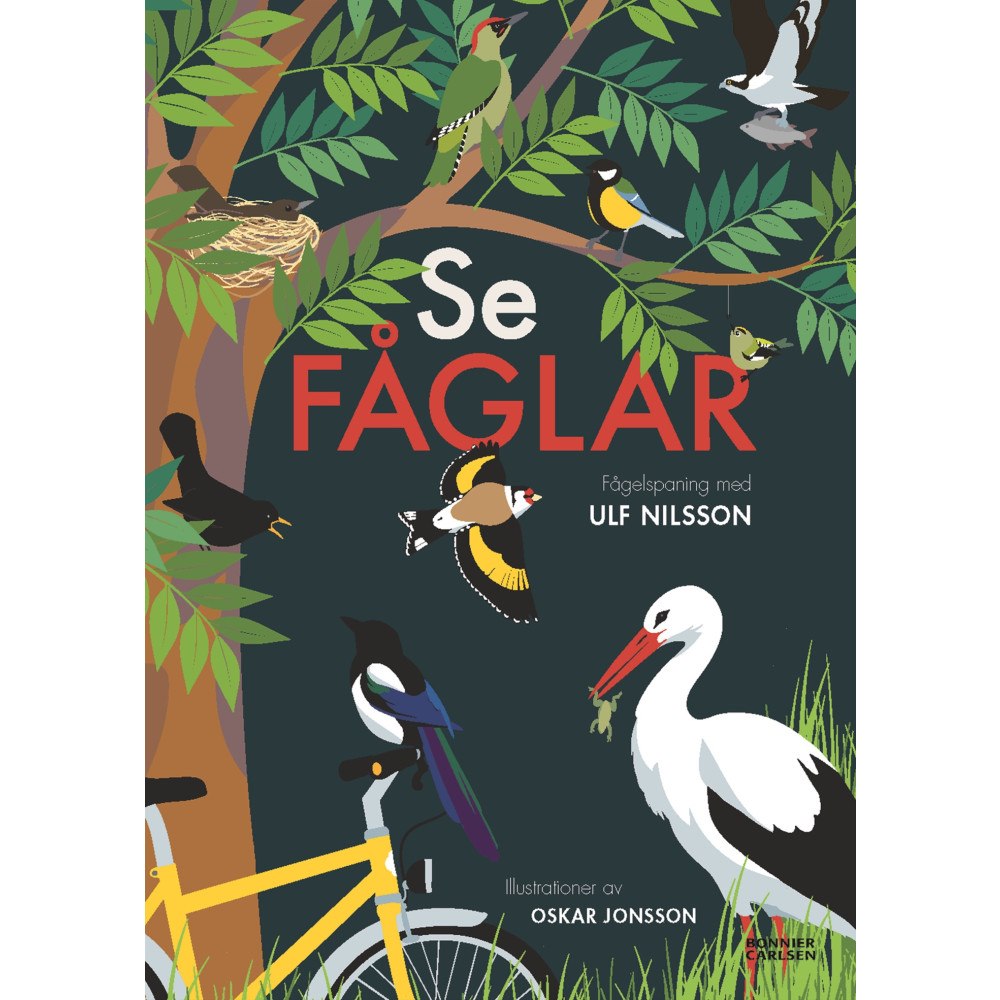 Ulf Nilsson Se fåglar (inbunden)