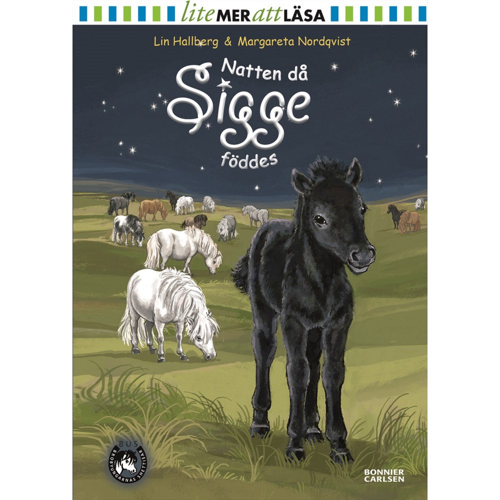 Lin Hallberg Natten då Sigge föddes (inbunden)