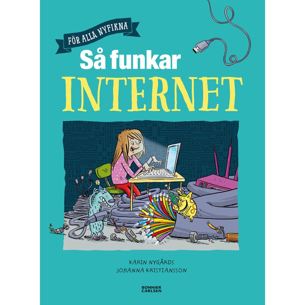 Karin Nygårds Så funkar internet (inbunden)