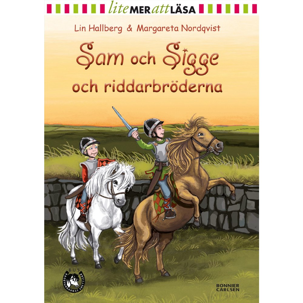 Lin Hallberg Sam och Sigge och riddarbröderna (inbunden)