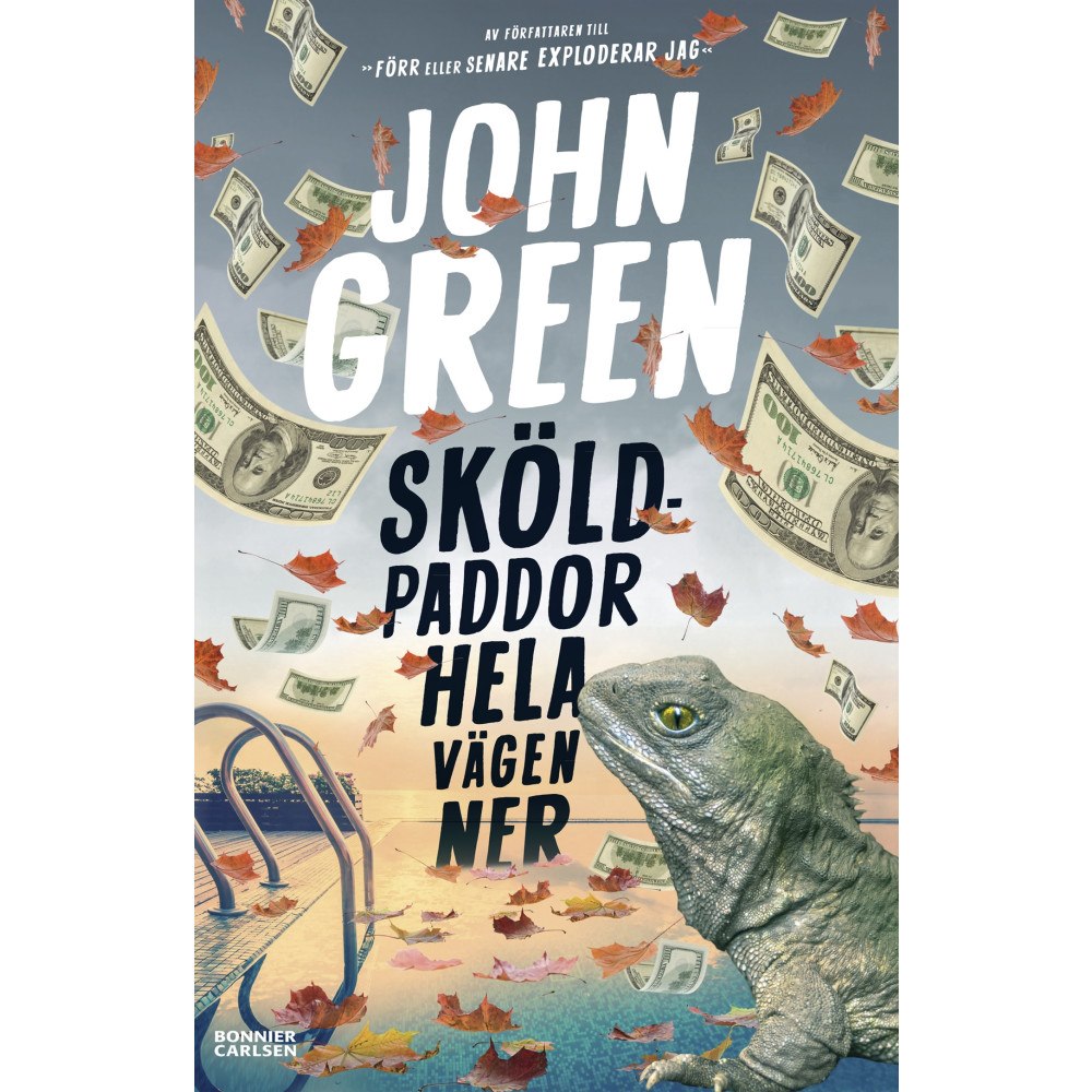 John Green Sköldpaddor hela vägen ner (bok, danskt band)