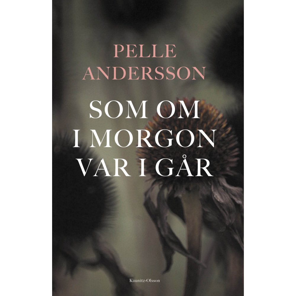 Pelle Andersson Som om i morgon var i går (inbunden)