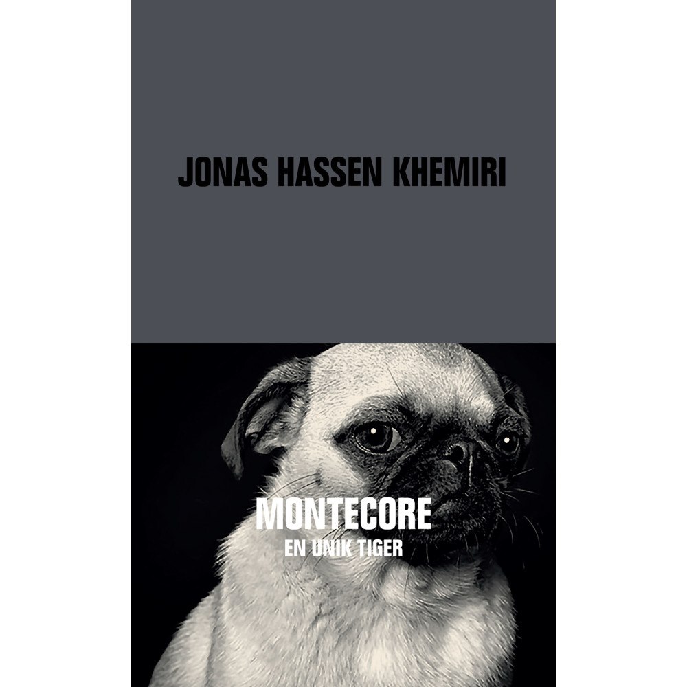 Jonas Hassen Khemiri Montecore (pocket)