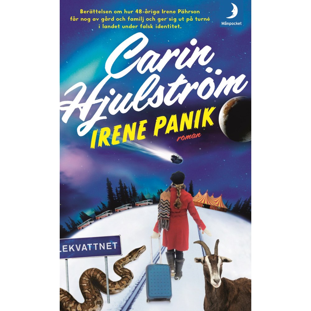 Carin Hjulström Irene Panik (pocket)