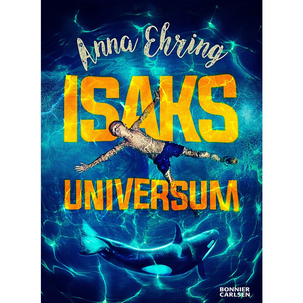 Anna Ehring Isaks universum (bok, kartonnage)