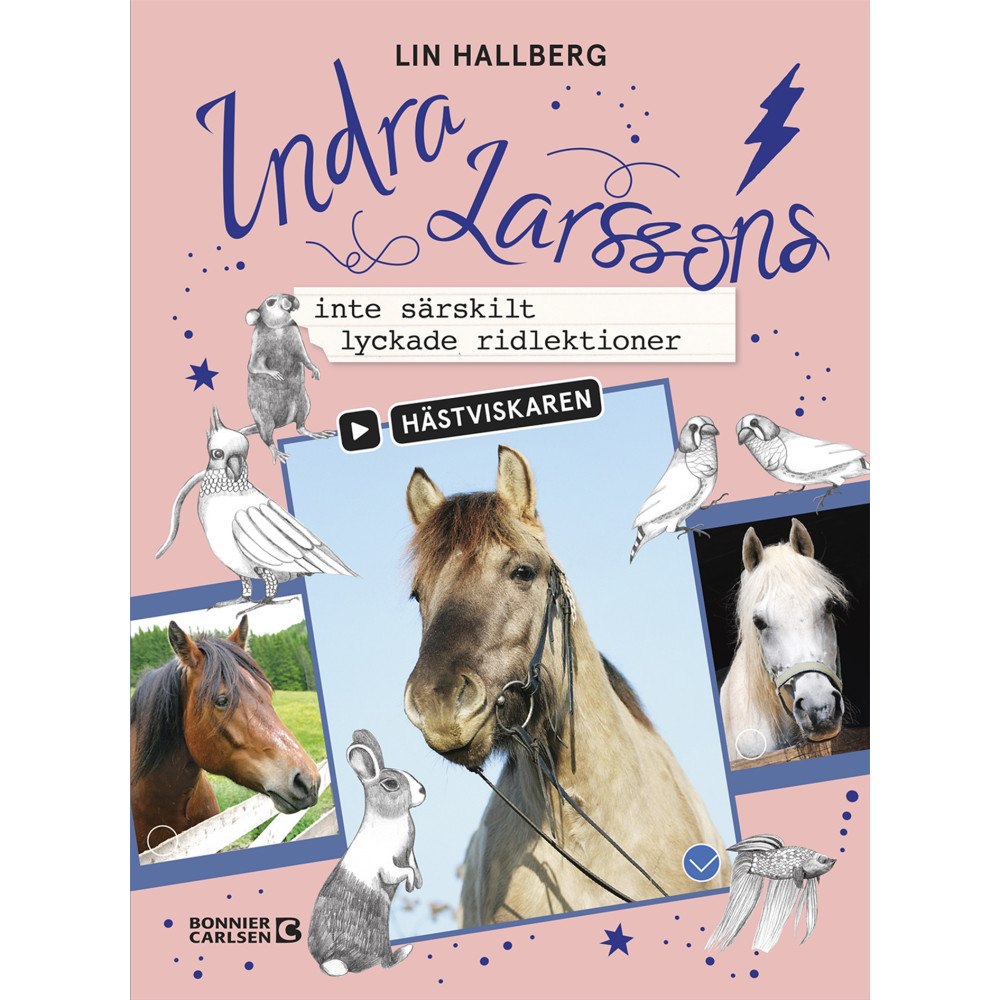 Lin Hallberg Indra Larssons inte särskilt lyckade ridlektioner (bok, kartonnage)