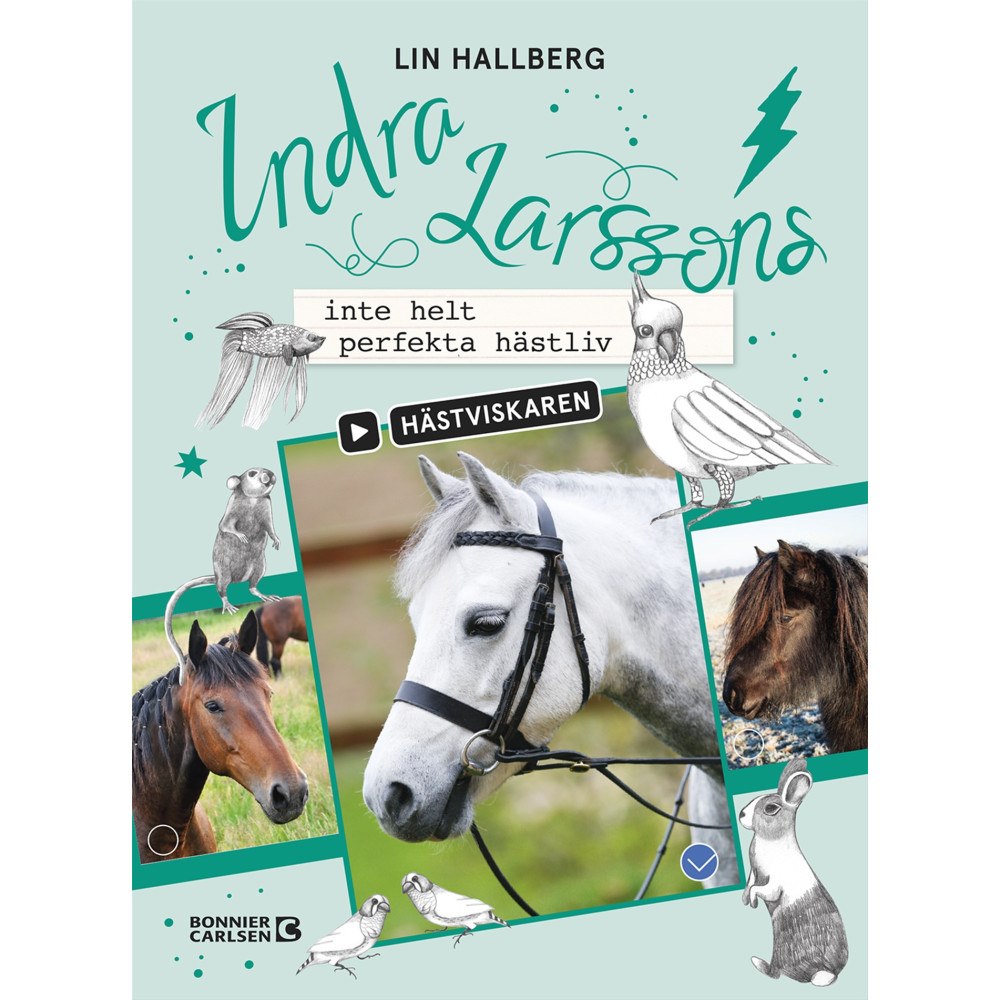 Lin Hallberg Indra Larssons inte helt perfekta hästliv (bok, kartonnage)