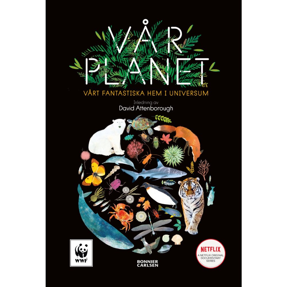 Matt Whyman Vår planet : vårt fantastiska hem i universum (inbunden)