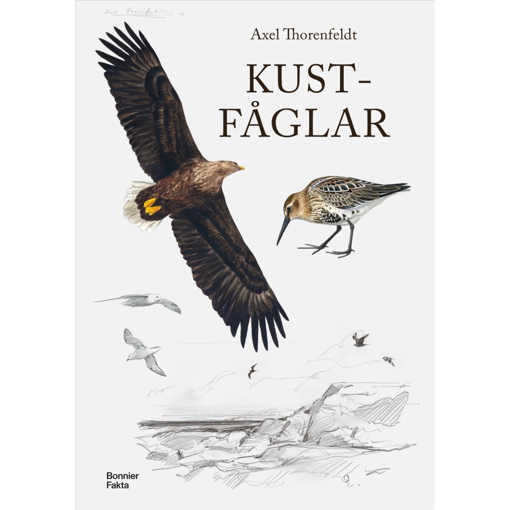 Axel Thorenfeldt Kustfåglar (inbunden)