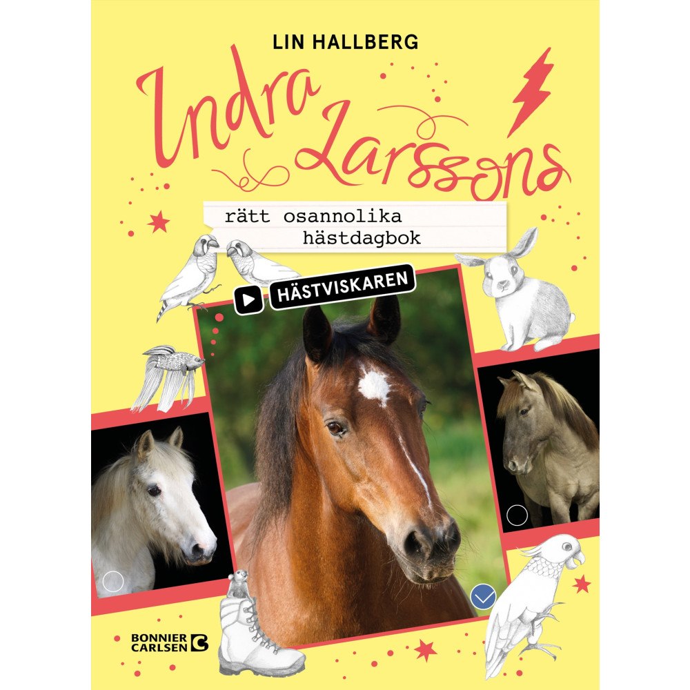 Lin Hallberg Indra Larssons rätt osannolika hästdagbok (bok, kartonnage)