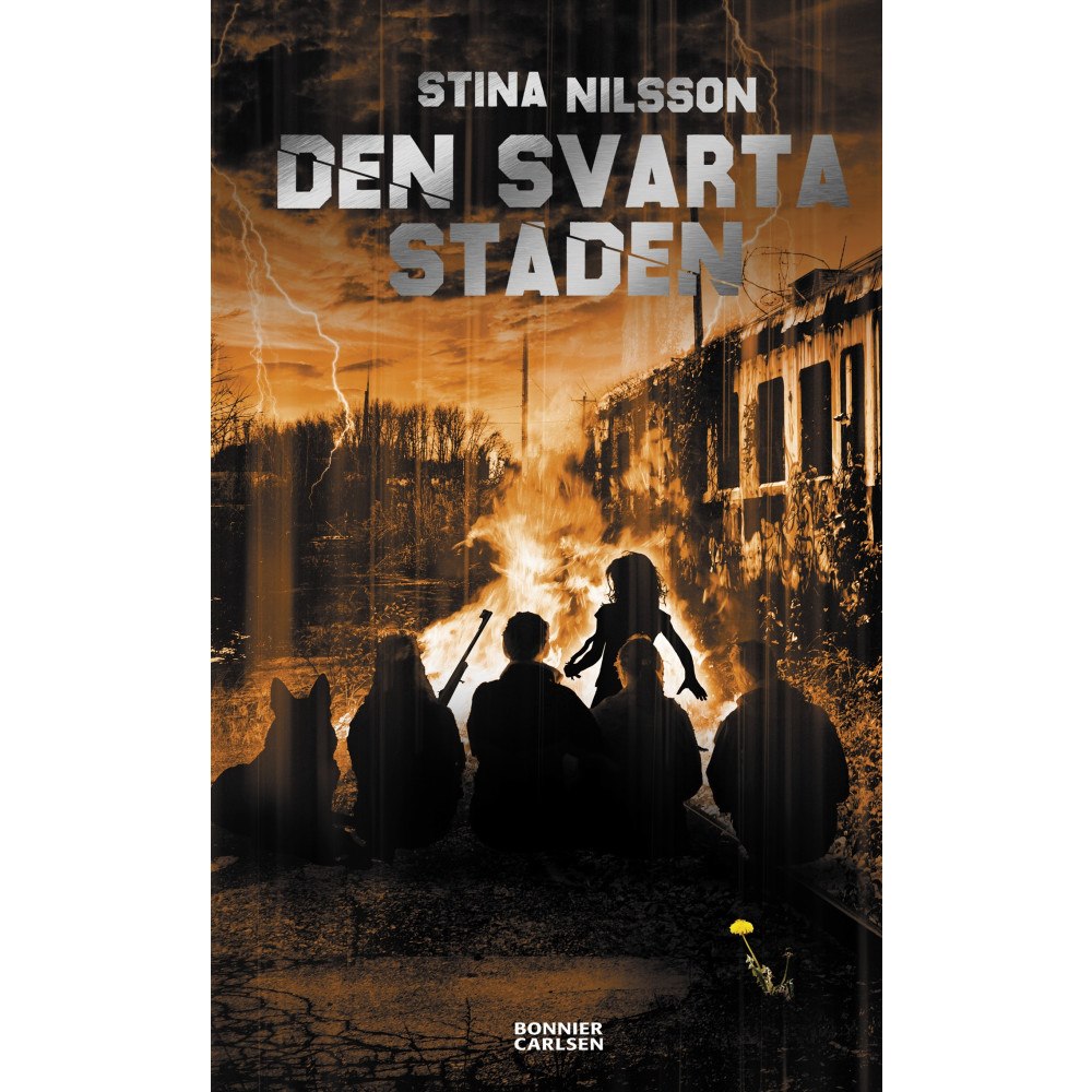 Bonnier Carlsen Den svarta staden (bok, kartonnage)