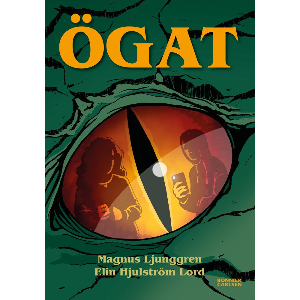 Magnus Ljunggren Ögat (bok, kartonnage)