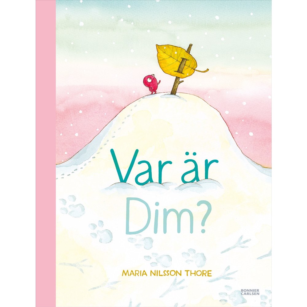 Maria Nilsson Thore Var är Dim? (bok, halvklotband)