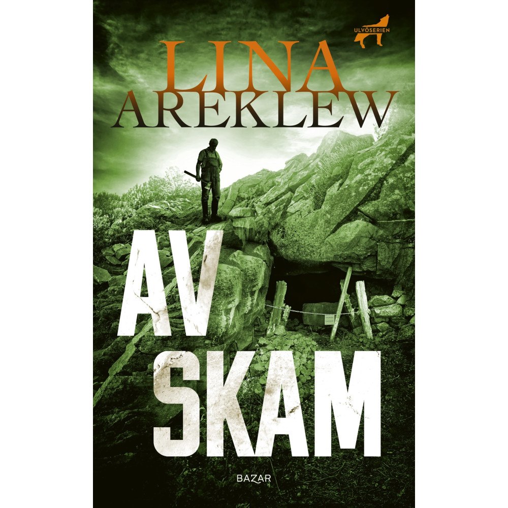 Lina Areklew Av skam (pocket)