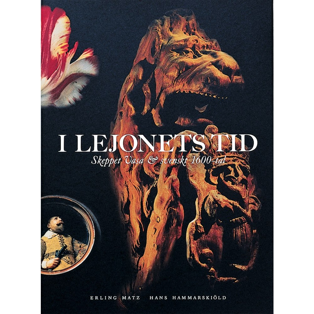 Erling Matz I lejonets tid (inbunden)