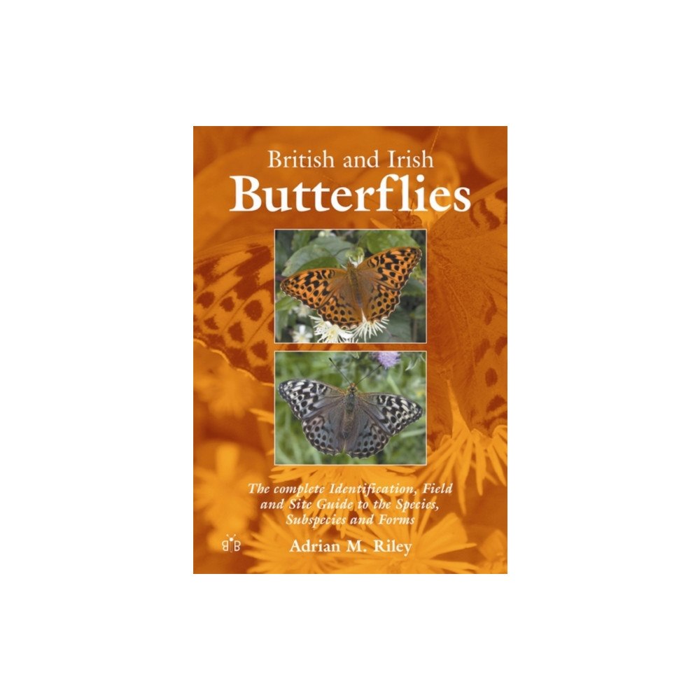 Brambleby Books British and Irish Butterflies (häftad, eng)