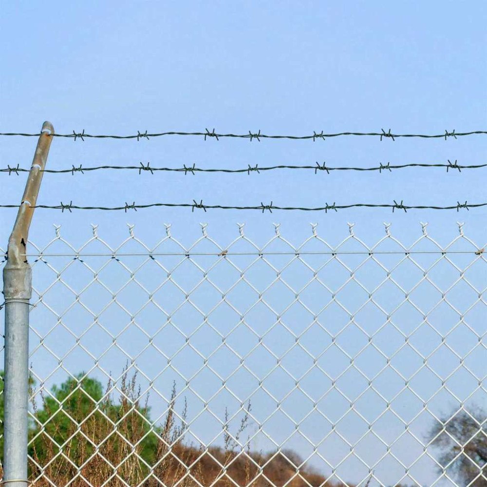 vidaXL Taggtråd Grön 50 m Varmsänkta galvaniserade stål