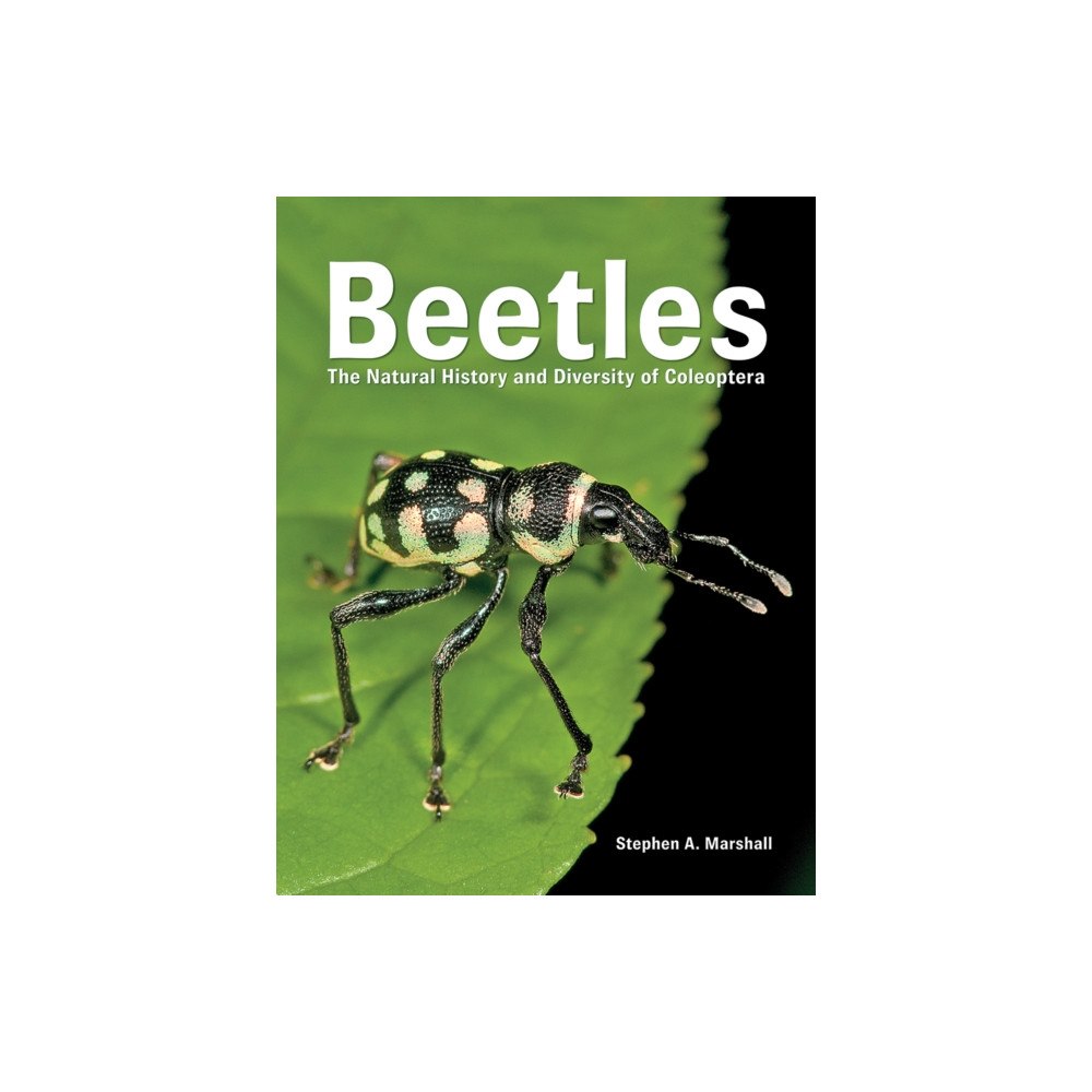 Firefly Books Ltd Beetles (inbunden, eng)