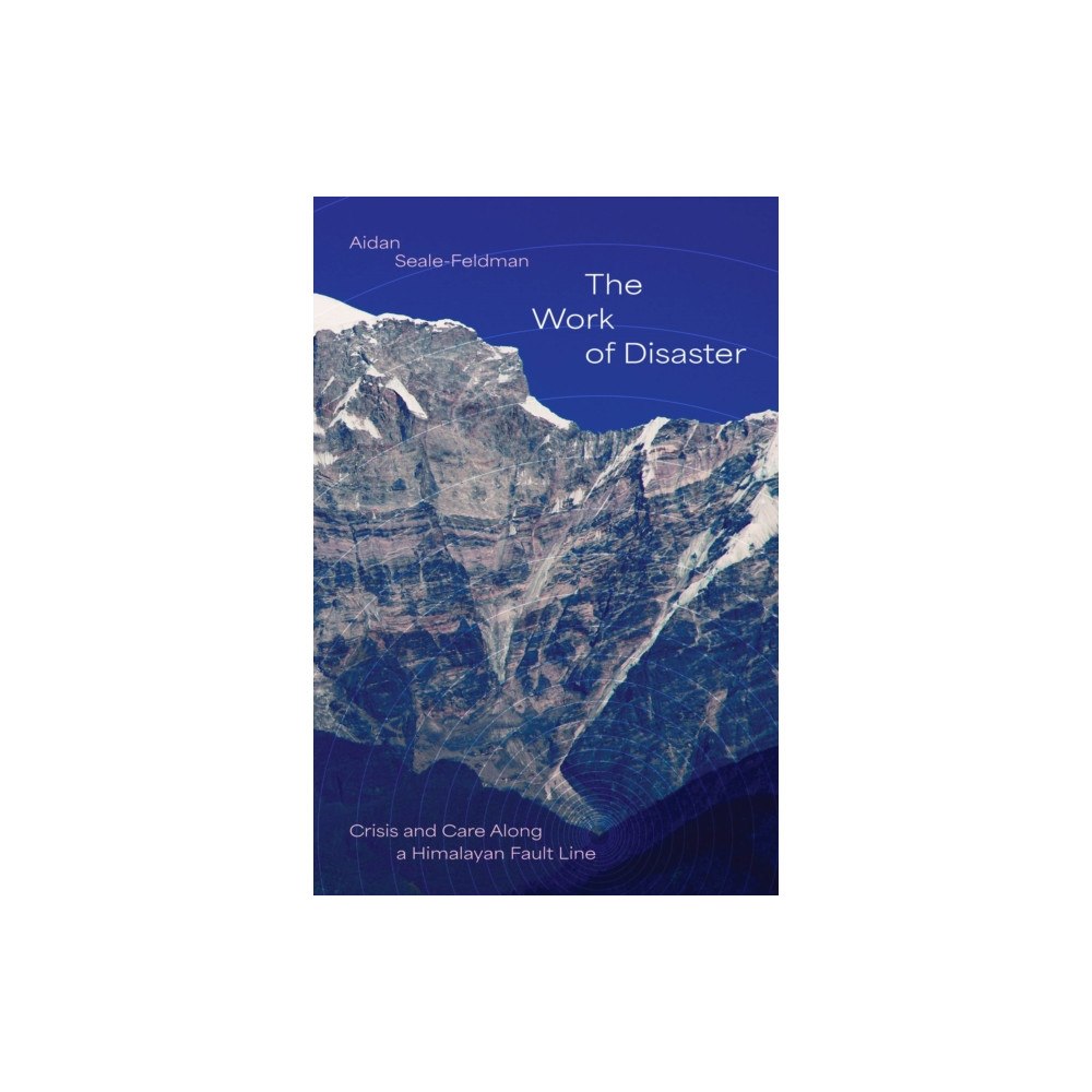 The university of chicago press The Work of Disaster (häftad, eng)