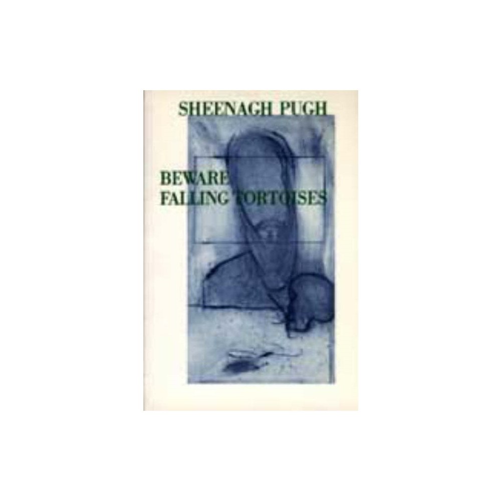 Poetry Wales Press Beware Falling Tortoises (häftad, eng)