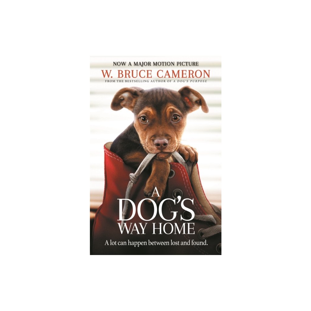 Pan Macmillan A Dog's Way Home (häftad, eng)
